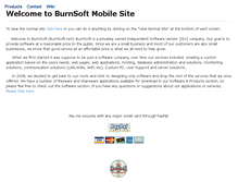 Tablet Screenshot of burnsoft.net